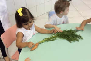 WhatsApp Image 2017-06-08 at 01.13.38 WhatsApp Image 2017-06-08 at 01.13.38