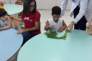 WhatsApp Image 2017-06-08 at 01.13.39 (1) WhatsApp Image 2017-06-08 at 01.13.39 (1)