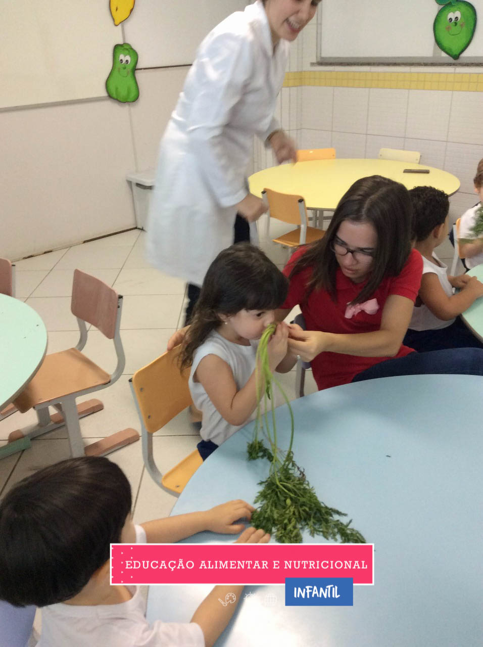 WhatsApp Image 2017-06-08 at 01.13.39 WhatsApp Image 2017-06-08 at 01.13.39