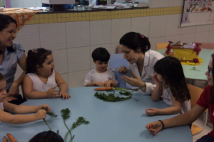 WhatsApp Image 2017-06-08 at 01.13.40 WhatsApp Image 2017-06-08 at 01.13.40