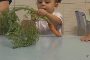 WhatsApp Image 2017-06-08 at 01.15.05 WhatsApp Image 2017-06-08 at 01.15.05