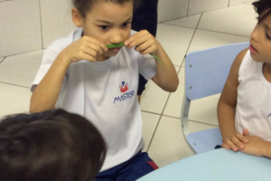 WhatsApp Image 2017-08-21 at 12.18.40 WhatsApp Image 2017-08-21 at 12.18.40