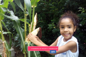 WhatsApp Image 2017-08-29 at 09.41.46