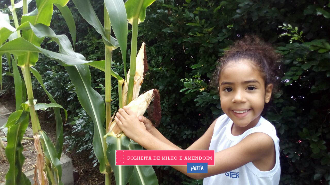 WhatsApp Image 2017-08-29 at 09.41.46