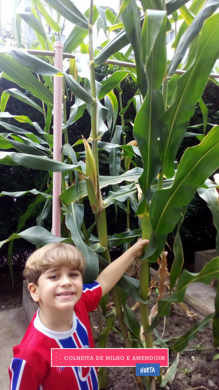 WhatsApp Image 2017-08-29 at 09.41.58