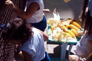 WhatsApp Image 2017-08-29 at 09.42.42