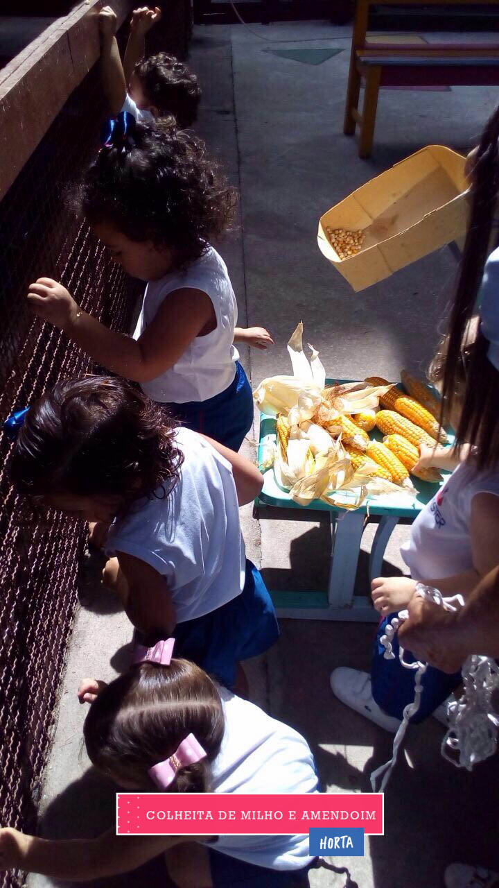 WhatsApp Image 2017-08-29 at 09.42.42