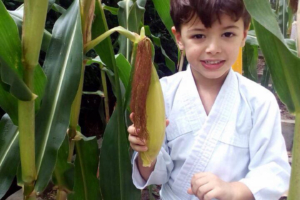 WhatsApp Image 2017-08-29 at 09.42.47