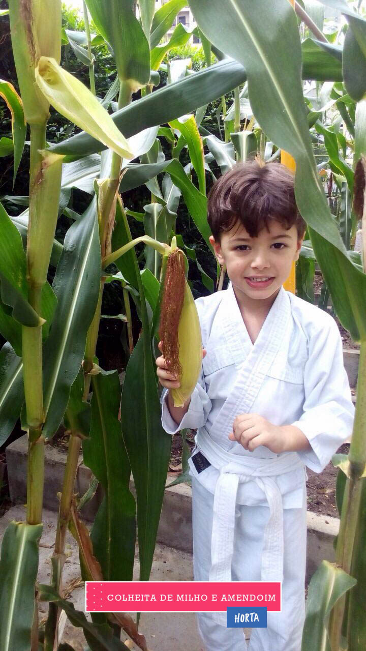 WhatsApp Image 2017-08-29 at 09.42.47