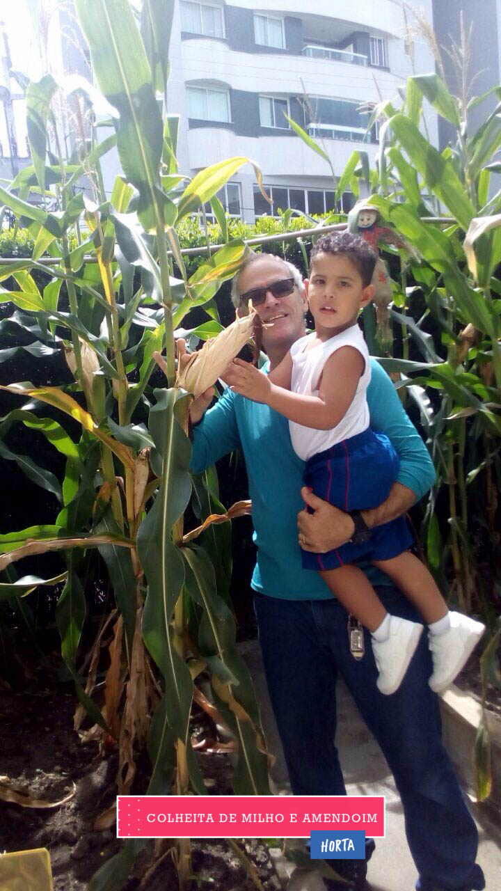 WhatsApp Image 2017-08-29 at 09.42.49