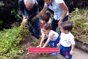 WhatsApp Image 2017-08-29 at 09.42.51