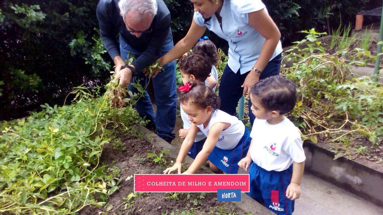 WhatsApp Image 2017-08-29 at 09.42.51