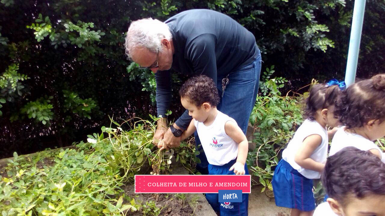 WhatsApp Image 2017-08-29 at 09.42.53