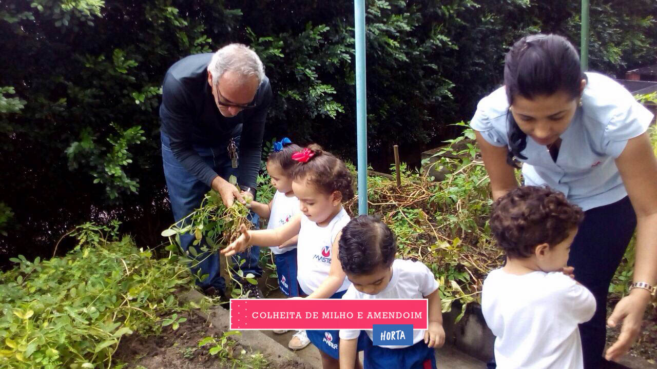 WhatsApp Image 2017-08-29 at 09.42.56