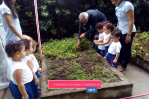 WhatsApp Image 2017-08-29 at 09.42.57