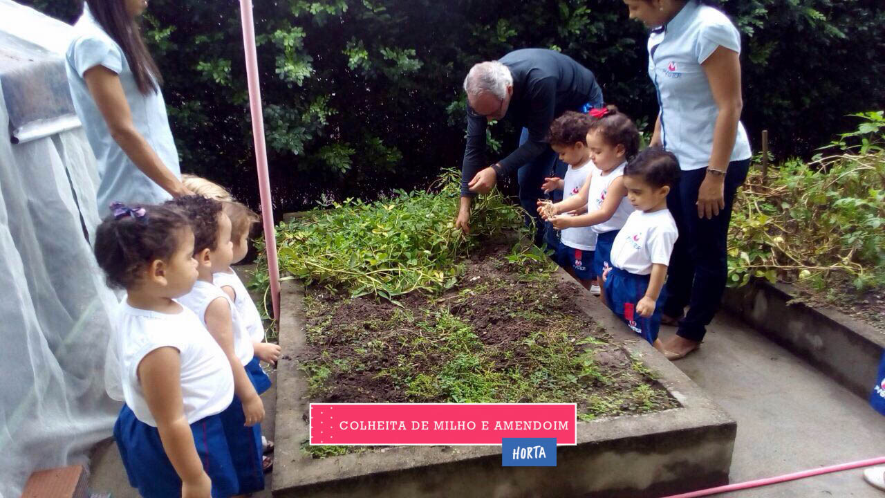 WhatsApp Image 2017-08-29 at 09.42.57