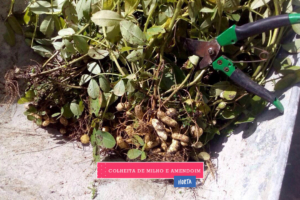 WhatsApp Image 2017-08-29 at 09.42.59