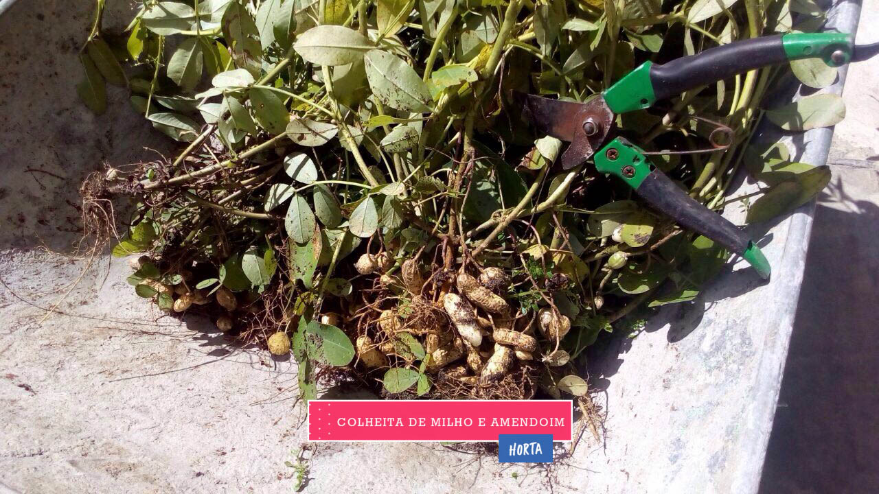 WhatsApp Image 2017-08-29 at 09.42.59