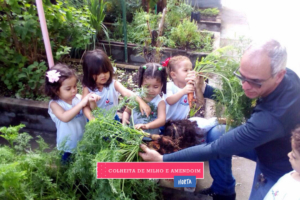 WhatsApp Image 2017-08-29 at 09.43.00