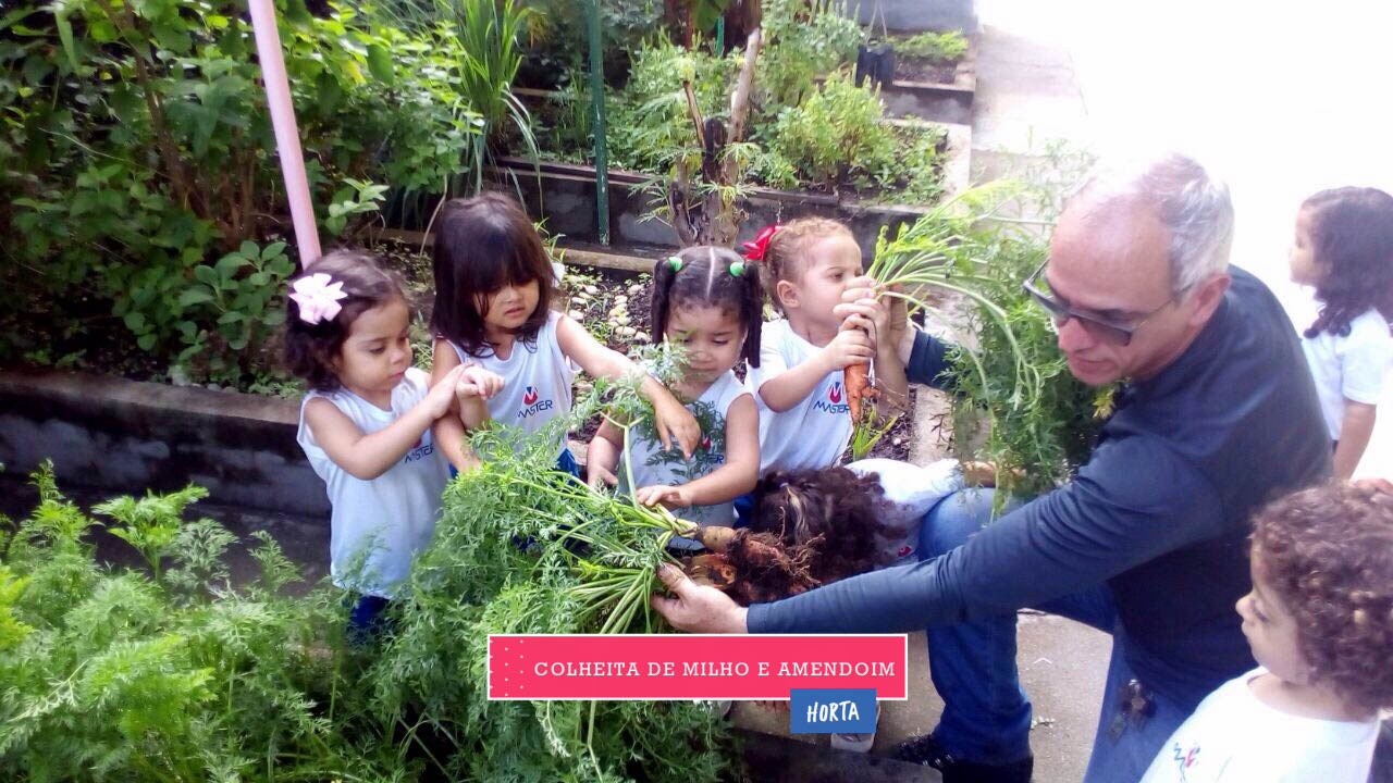 WhatsApp Image 2017-08-29 at 09.43.00