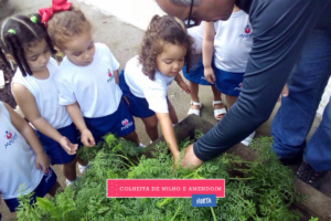 WhatsApp Image 2017-08-29 at 09.43.02