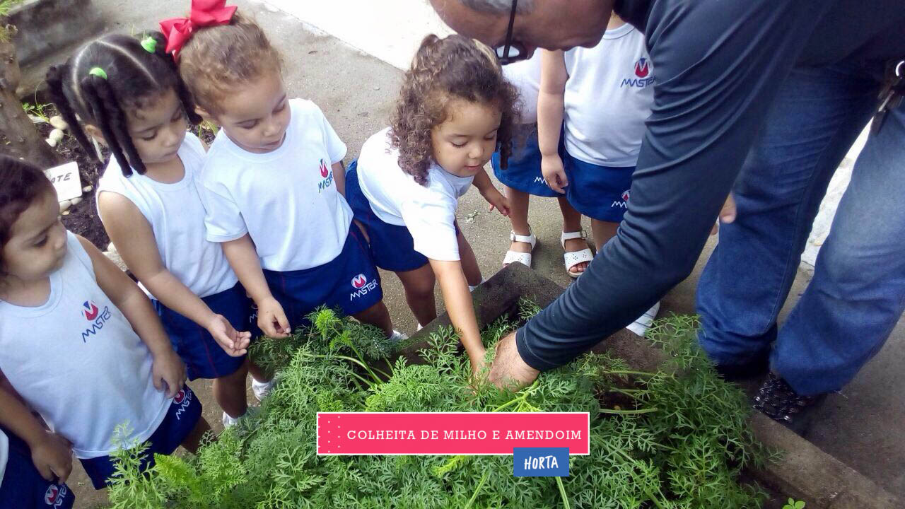 WhatsApp Image 2017-08-29 at 09.43.02