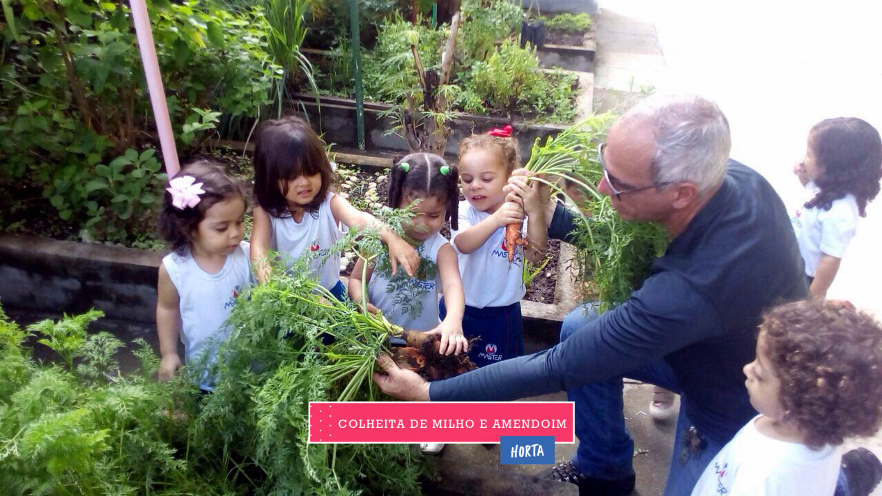 WhatsApp Image 2017-08-29 at 09.43.04