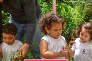 WhatsApp Image 2017-09-01 at 15.44.16 (1)