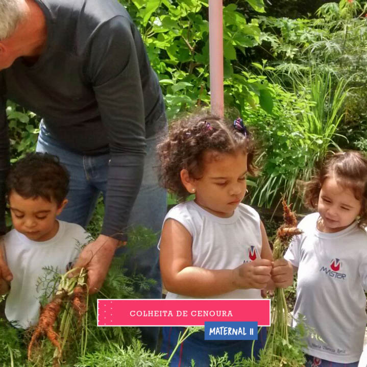 WhatsApp Image 2017-09-01 at 15.44.16 (1)