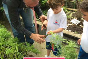 WhatsApp Image 2017-09-01 at 15.44.16