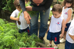 WhatsApp Image 2017-09-01 at 15.44.21