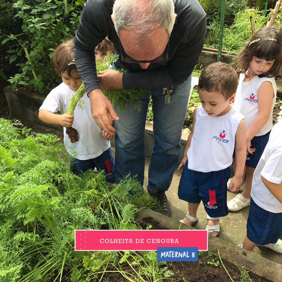 WhatsApp Image 2017-09-01 at 15.44.21