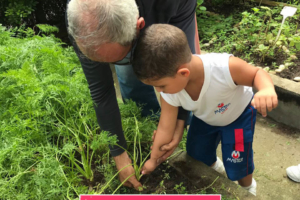 WhatsApp Image 2017-09-01 at 15.44.22