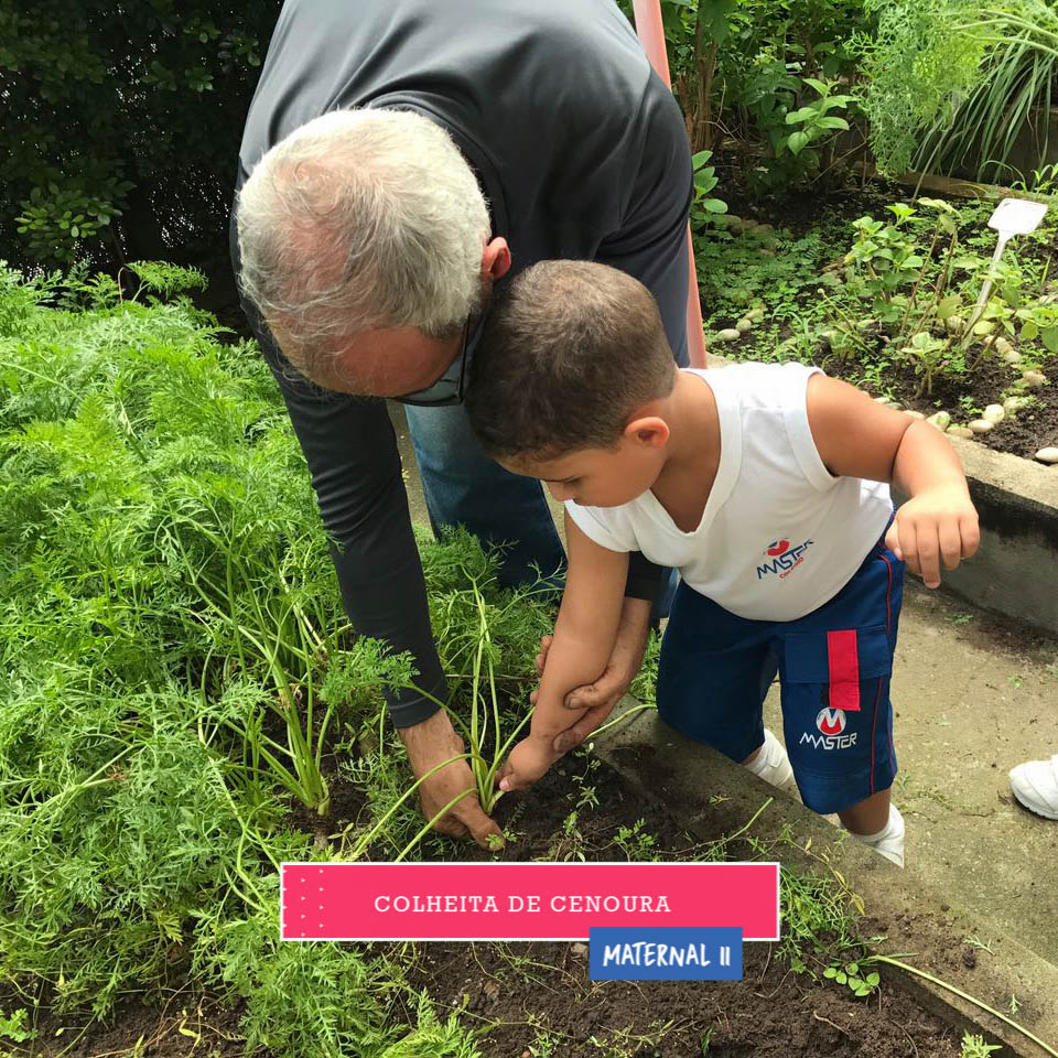 WhatsApp Image 2017-09-01 at 15.44.22