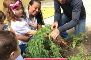 WhatsApp Image 2017-09-01 at 15.44.25 (1)