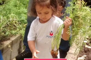 WhatsApp Image 2017-09-01 at 15.44.25