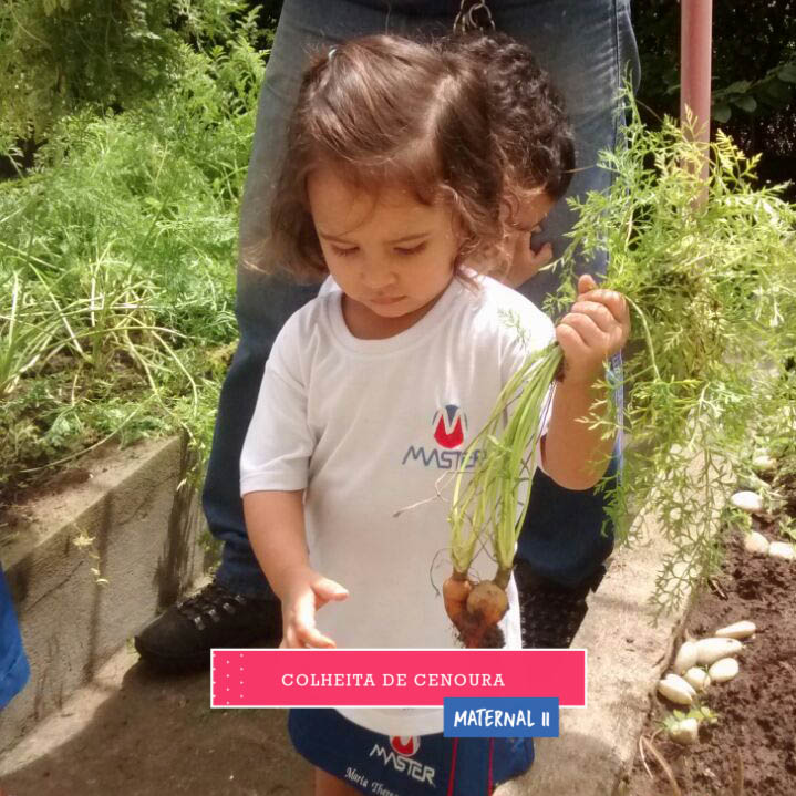 WhatsApp Image 2017-09-01 at 15.44.25