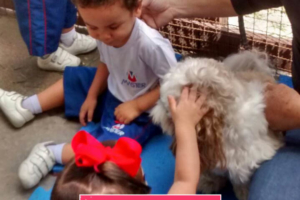 WhatsApp Image 2017-09-01 at 15.57.37