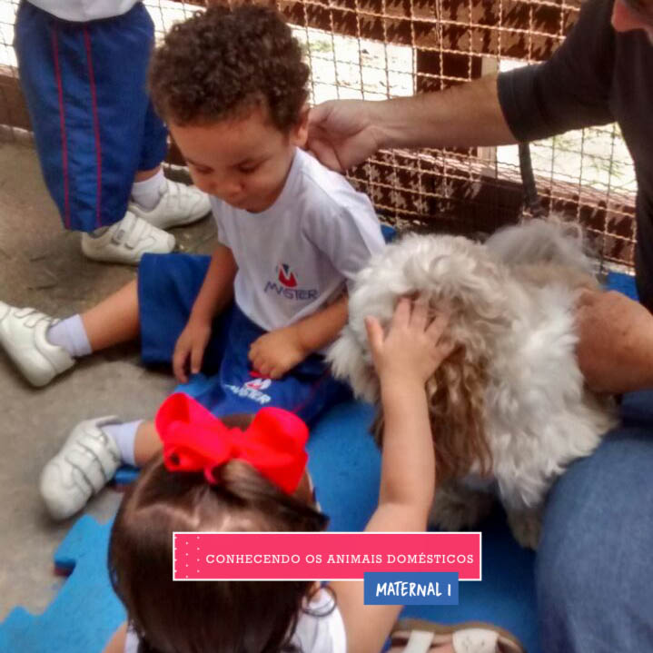 WhatsApp Image 2017-09-01 at 15.57.37