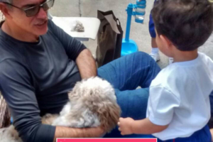 WhatsApp Image 2017-09-01 at 15.57.51