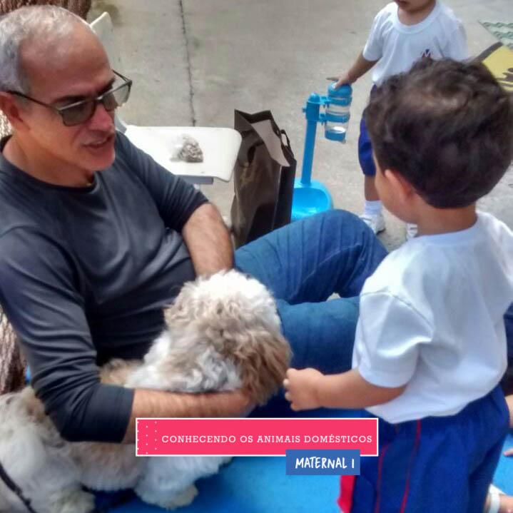 WhatsApp Image 2017-09-01 at 15.57.51