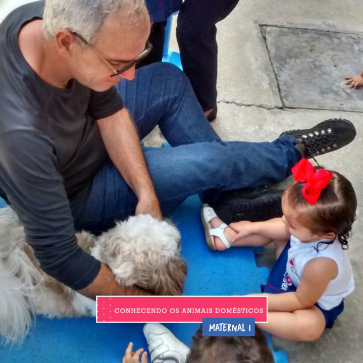 WhatsApp Image 2017-09-01 at 15.57.52