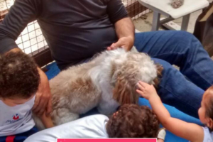 WhatsApp Image 2017-09-01 at 15.57.53