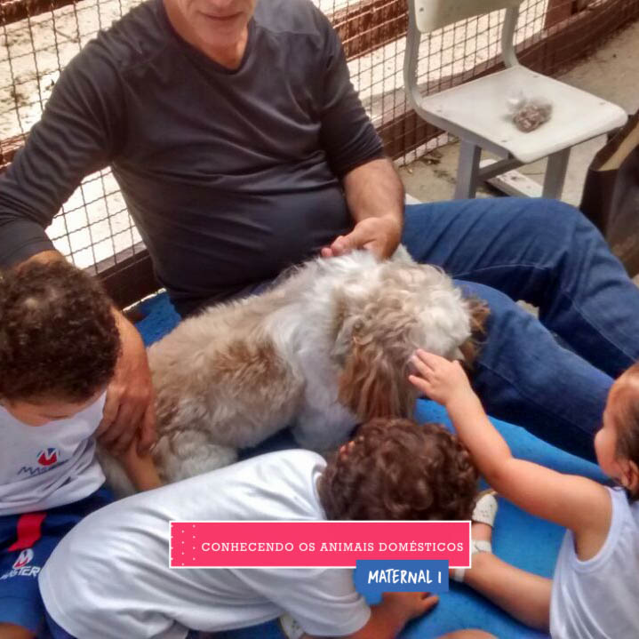 WhatsApp Image 2017-09-01 at 15.57.53