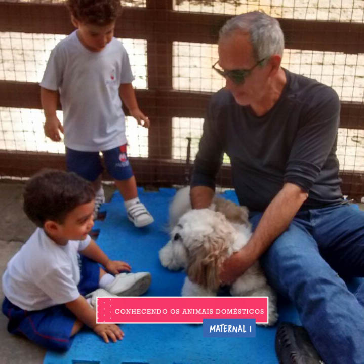 WhatsApp Image 2017-09-01 at 15.57.56