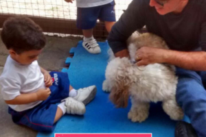 WhatsApp Image 2017-09-01 at 15.57.59