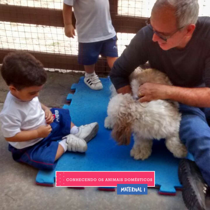 WhatsApp Image 2017-09-01 at 15.57.59