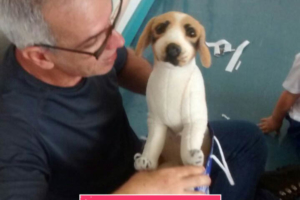 WhatsApp Image 2017-09-01 at 15.58.03