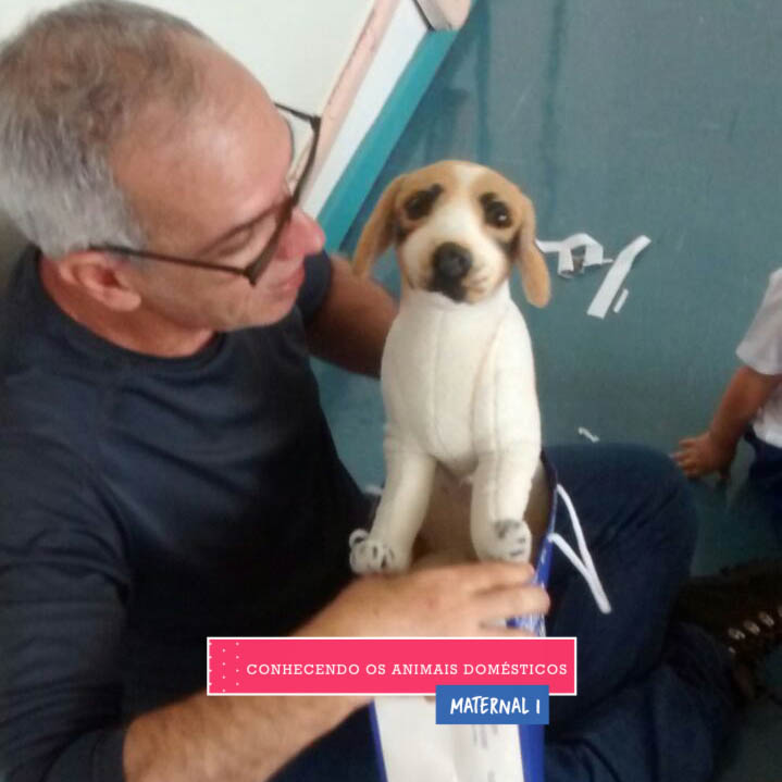 WhatsApp Image 2017-09-01 at 15.58.03