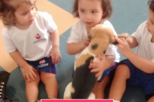 WhatsApp Image 2017-09-01 at 15.58.05